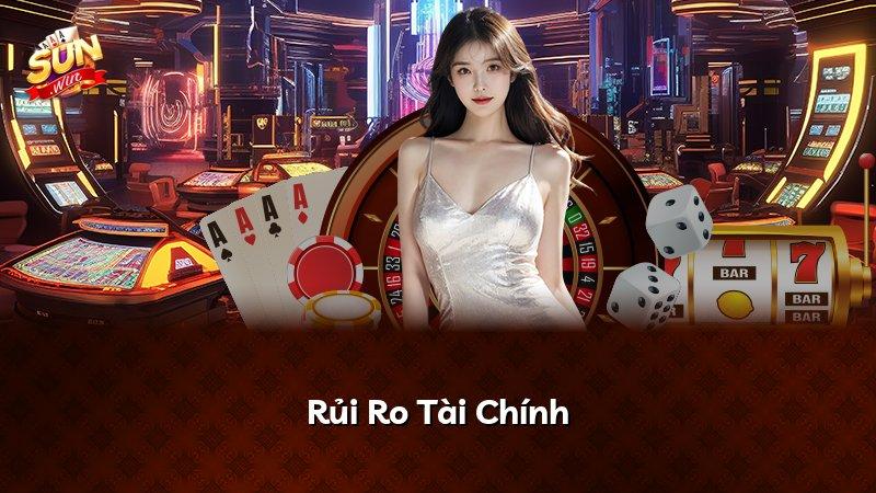 Rủi Ro Tài Chính